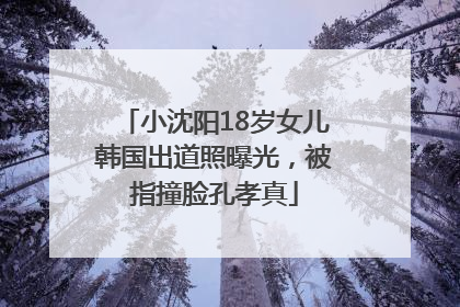 小沈阳18岁女儿韩国出道照曝光，被指撞脸孔孝真