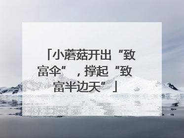 小蘑菇开出“致富伞”，撑起“致富半边天”