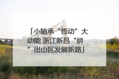 小轴承“传动”大动能 浙江新昌“拼”出山区发展新路