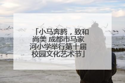 小马奔腾，致和尚美 成都市马家河小学举行第十届校园文化艺术节