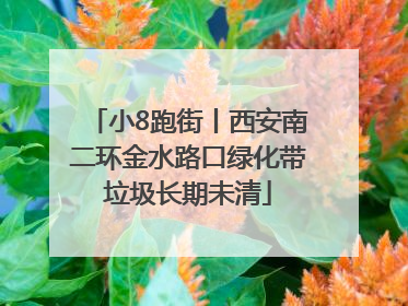 小8跑街丨西安南二环金水路口绿化带垃圾长期未清
