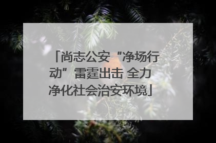 尚志公安“净场行动”雷霆出击 全力净化社会治安环境