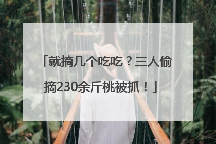 就摘几个吃吃？三人偷摘230余斤桃被抓！