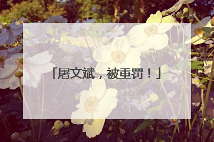 屠文斌，被重罚！