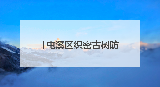 屯溪区织密古树防护网 让“绿色文物”焕发新活力