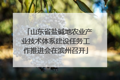 山东省盐碱地农业产业技术体系建设任务工作推进会在滨州召开