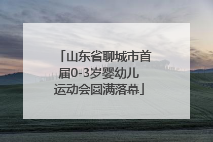 山东省聊城市首届0-3岁婴幼儿运动会圆满落幕