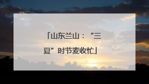 山东兰山：“三夏”时节麦收忙
