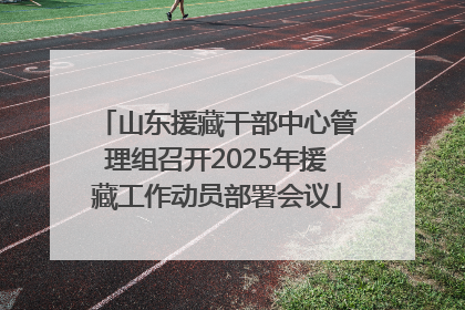 山东援藏干部中心管理组召开2025年援藏工作动员部署会议