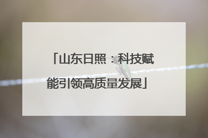 山东日照：科技赋能引领高质量发展