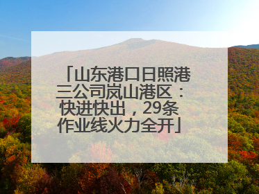 山东港口日照港三公司岚山港区：快进快出，29条作业线火力全开