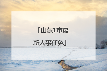 山东1市最新人事任免