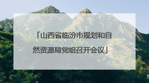 山西省临汾市规划和自然资源局党组召开会议