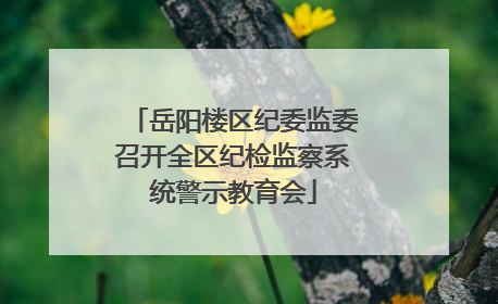 岳阳楼区纪委监委召开全区纪检监察系统警示教育会