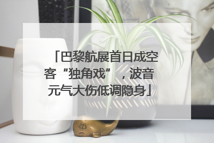 巴黎航展首日成空客“独角戏”，波音元气大伤低调隐身