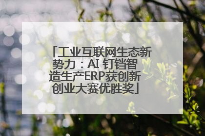 工业互联网生态新势力：AI 钉铛智造生产ERP获创新创业大赛优胜奖