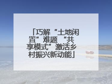 巧解“土地闲置”难题 “共享模式”激活乡村振兴新动能