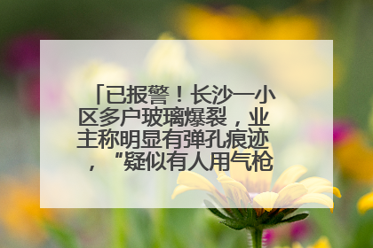 已报警！长沙一小区多户玻璃爆裂，业主称明显有弹孔痕迹，“疑似有人用气枪打鸟造成”