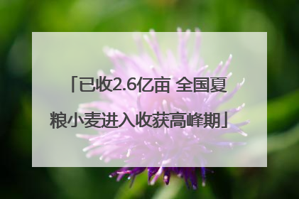 已收2.6亿亩 全国夏粮小麦进入收获高峰期