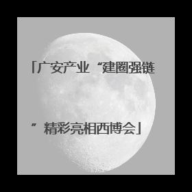 广安产业“建圈强链”精彩亮相西博会