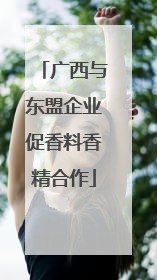 广西与东盟企业促香料香精合作