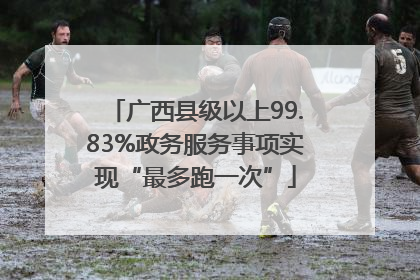广西县级以上99.83%政务服务事项实现“最多跑一次”