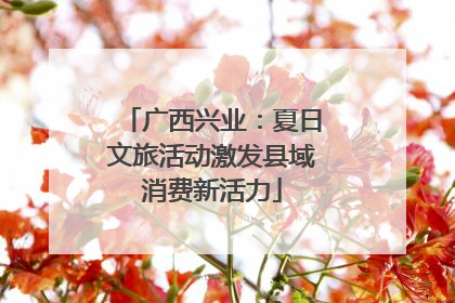 广西兴业：夏日文旅活动激发县域消费新活力