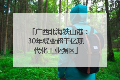 广西北海铁山港：30年蝶变超千亿现代化工业强区