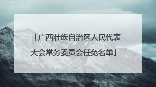广西壮族自治区人民代表大会常务委员会任免名单