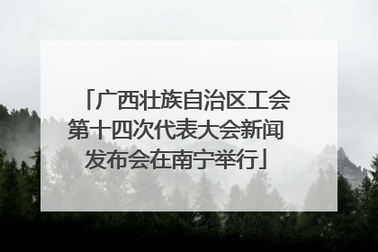 广西壮族自治区工会第十四次代表大会新闻发布会在南宁举行