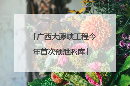 广西大藤峡工程今年首次预泄腾库