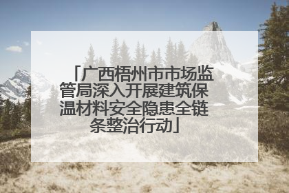 广西梧州市市场监管局深入开展建筑保温材料安全隐患全链条整治行动