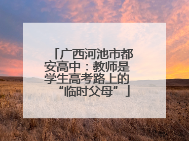广西河池市都安高中：教师是学生高考路上的“临时父母”