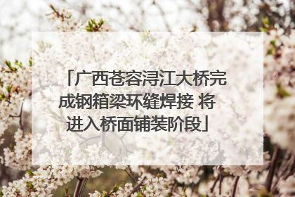 广西苍容浔江大桥完成钢箱梁环缝焊接 将进入桥面铺装阶段