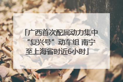 广西首次配属动力集中“复兴号”动车组 南宁至上海省时近6小时