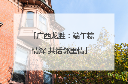 广西龙胜：端午粽情深 共话邻里情