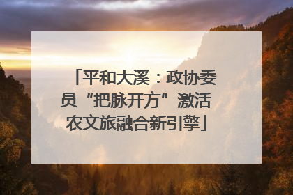 平和大溪：政协委员“把脉开方”激活农文旅融合新引擎