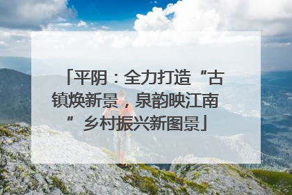 平阴：全力打造“古镇焕新景，泉韵映江南”乡村振兴新图景