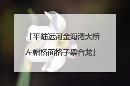 平陆运河金海湾大桥左幅桥面格子梁合龙