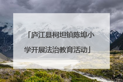 庐江县柯坦镇陈埠小学开展法治教育活动