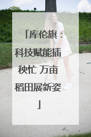 库伦旗：科技赋能插秧忙 万亩稻田展新姿