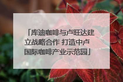 库迪咖啡与卢旺达建立战略合作 打造中卢国际咖啡产业示范园