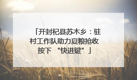 开封杞县苏木乡：驻村工作队助力夏粮抢收按下 “快进键”