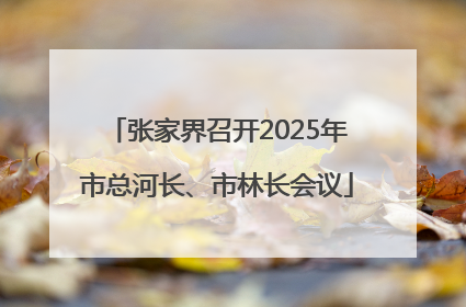 张家界召开2025年市总河长、市林长会议