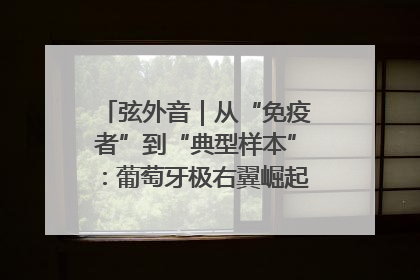 弦外音｜从“免疫者”到“典型样本”：葡萄牙极右翼崛起背后的欧洲困局