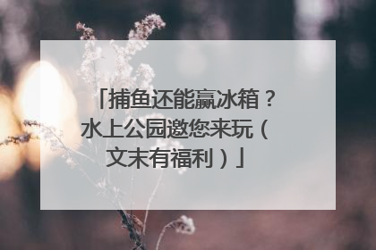 捕鱼还能赢冰箱？水上公园邀您来玩（文末有福利）