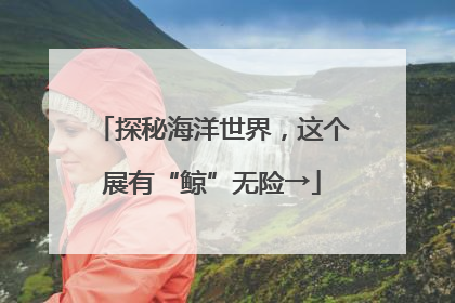 探秘海洋世界，这个展有“鲸”无险→