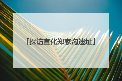 探访宣化郑家沟遗址