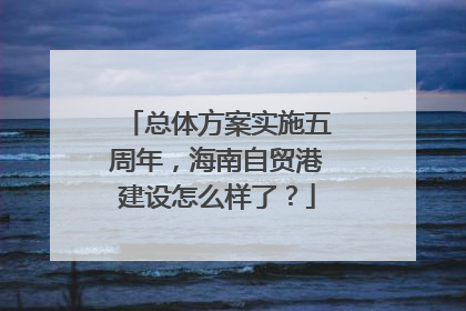 总体方案实施五周年，海南自贸港建设怎么样了？