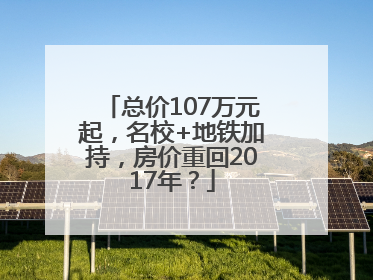 总价107万元起，名校+地铁加持，房价重回2017年？